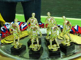 Итоги XIV традиционного турнира по мини-футболу памяти МС по футболу С.Н. Волнухина